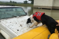 butch-on-zodiac-with-jeep-9.16